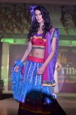 at Atharva College Indian Princess fashion show in Mumbai on 23rd Dec 2011 (105).JPG